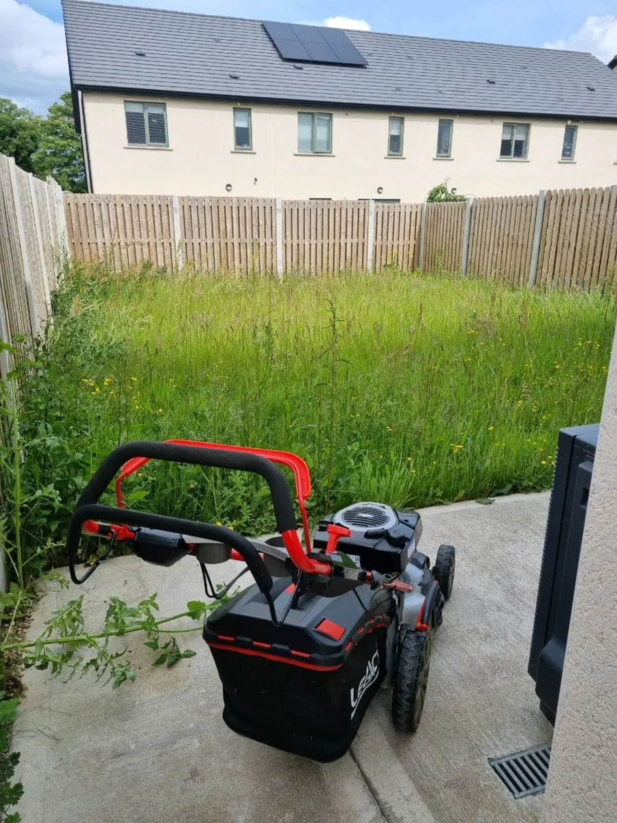 Garden maintenance - Image 4