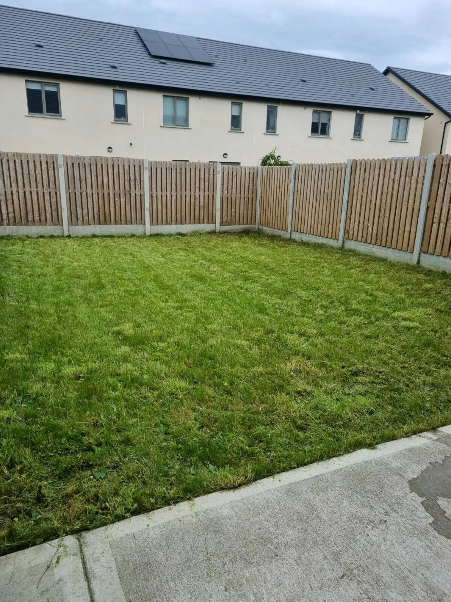 Garden maintenance - Image 4