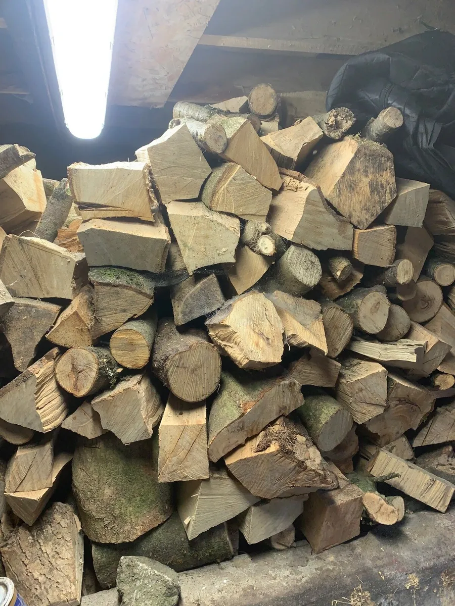 Timber - Image 3