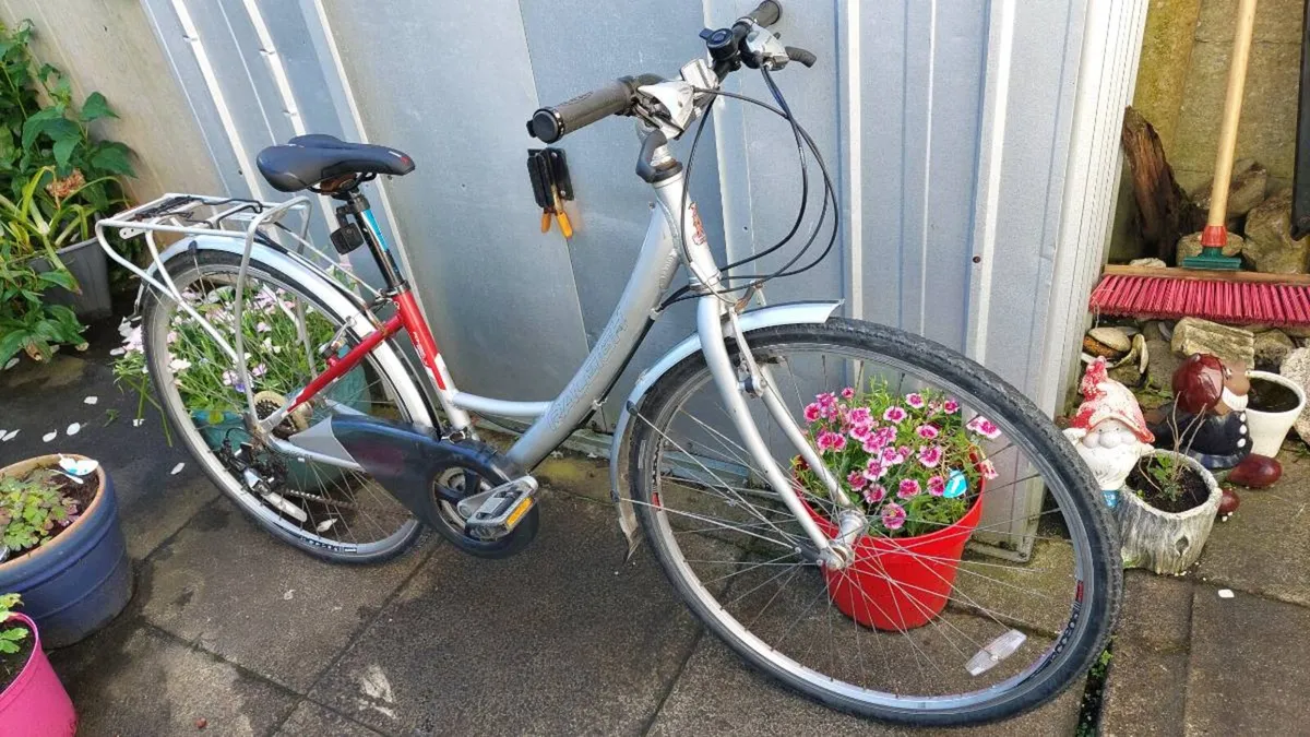 Raleigh Pioneer Metro LX Comfort Geometry - Image 1