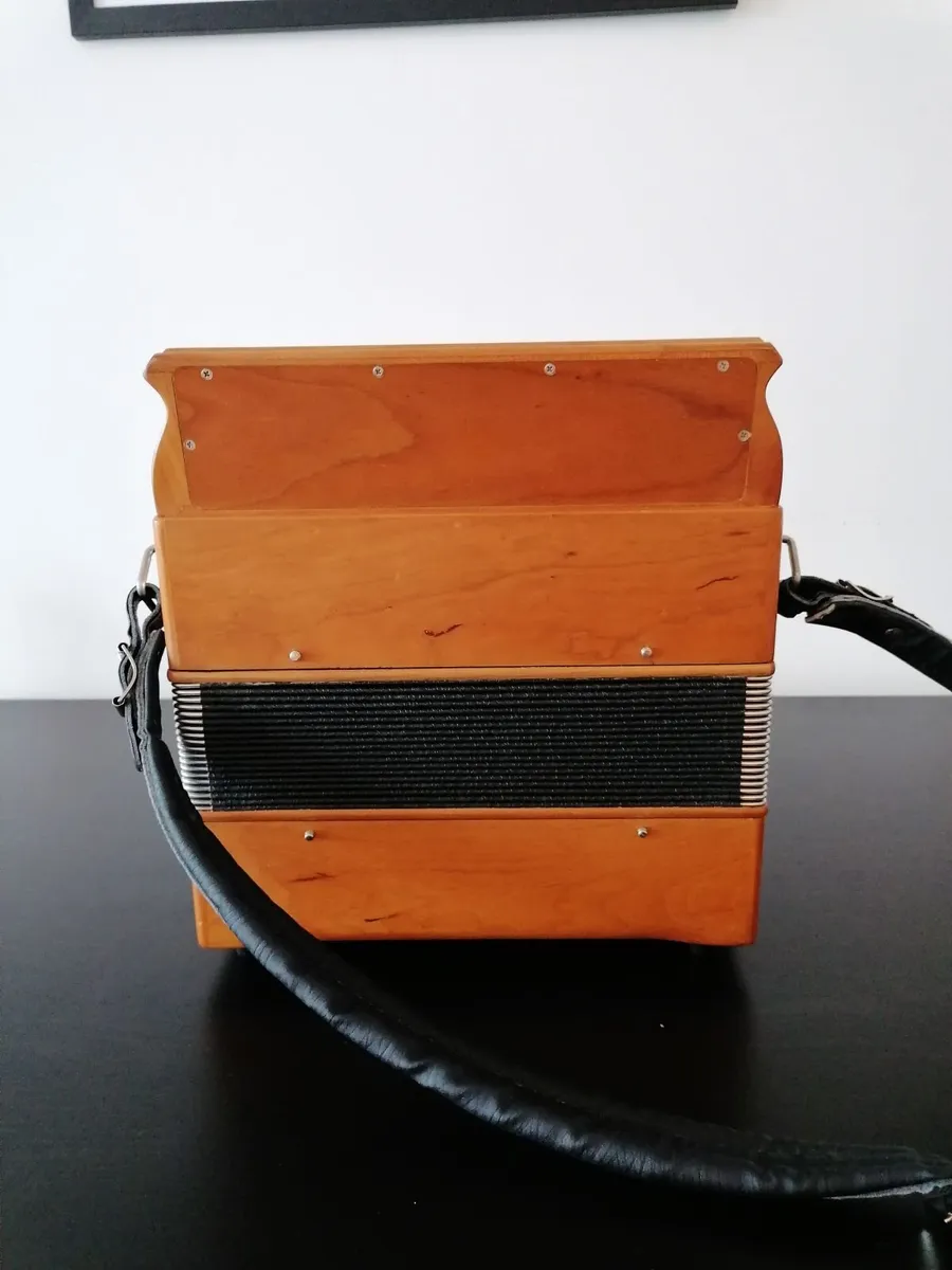 Accordion - Image 4