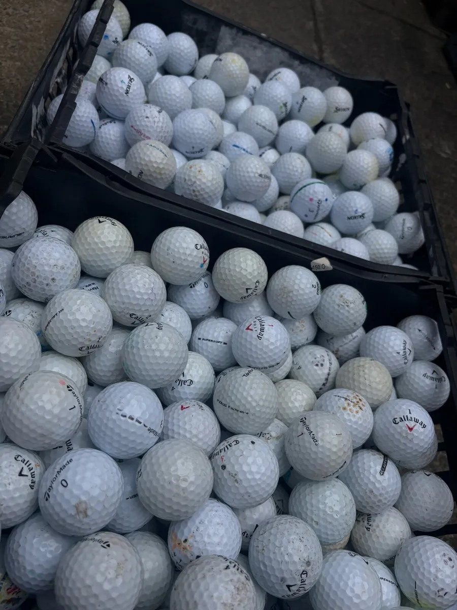 100 Top Brand Golf Balls - Image 1