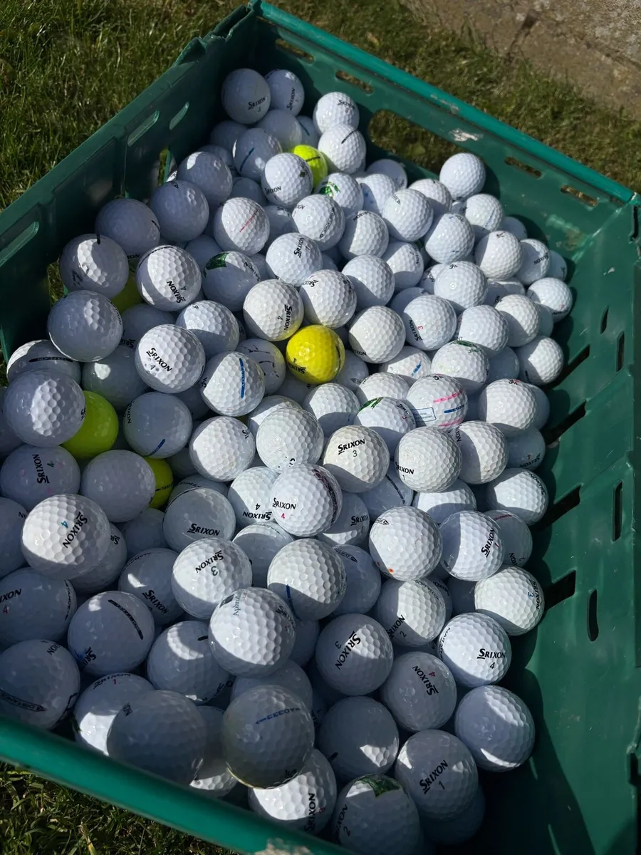 40 Srixon Golf Balls - Image 1