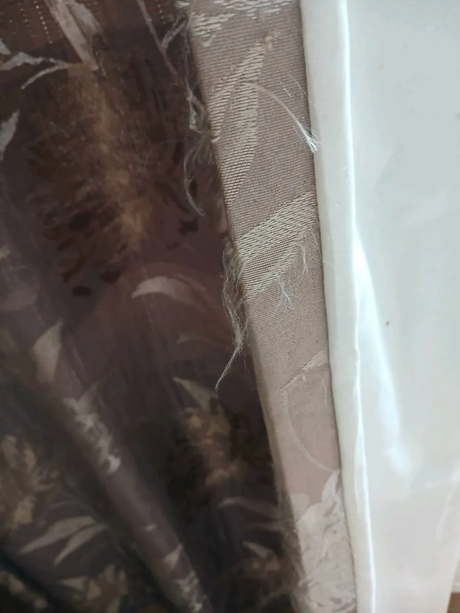 Curtains - Image 3