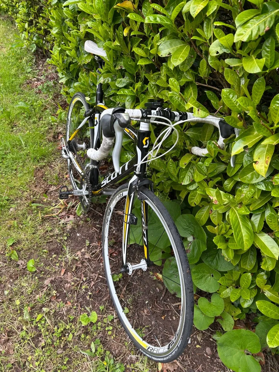 O  professional Lightweight  Scott Racer 24speed - Image 2