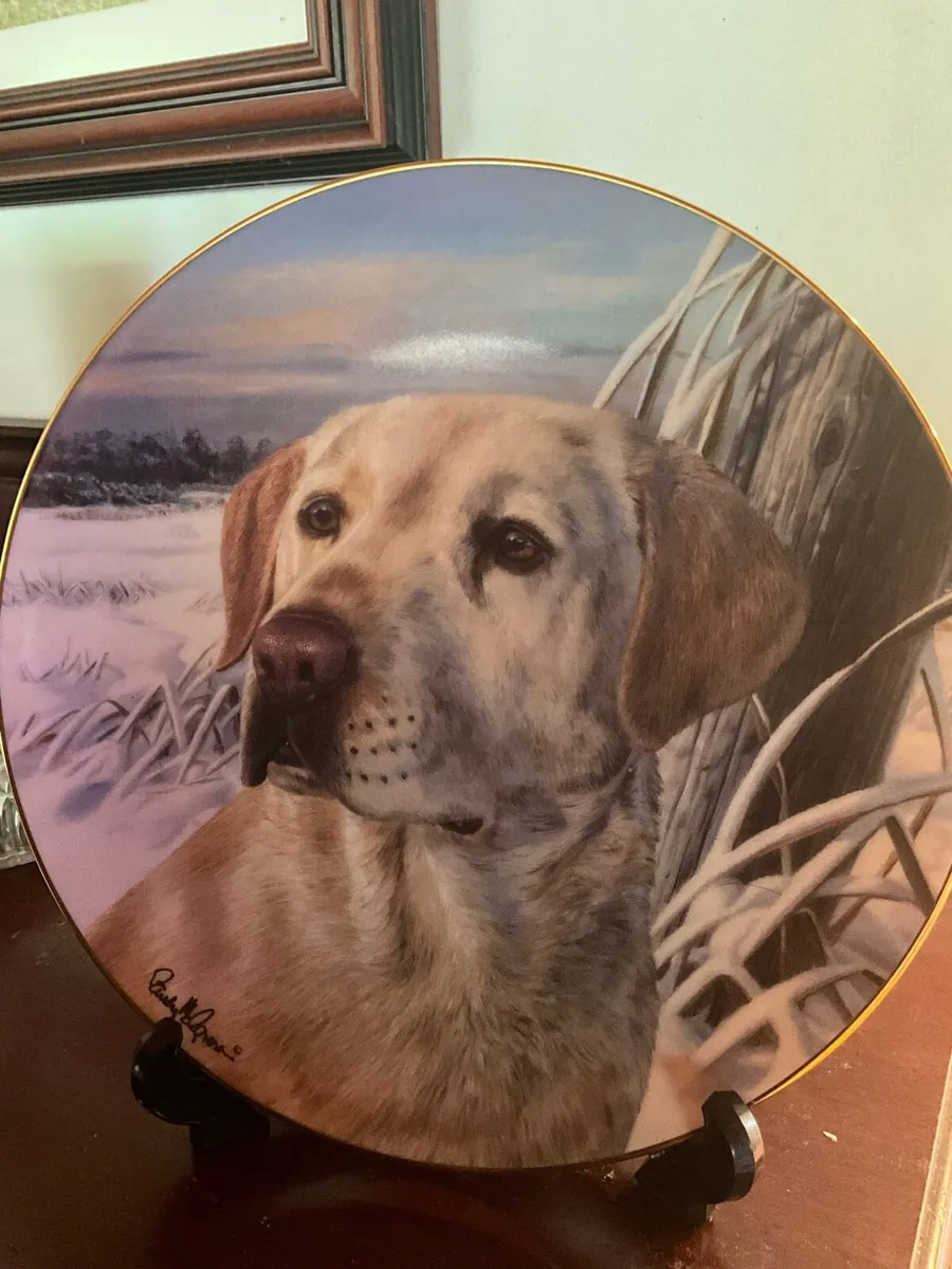 Beautiful 8 Inch ‘Dog’ Plate - Image 4