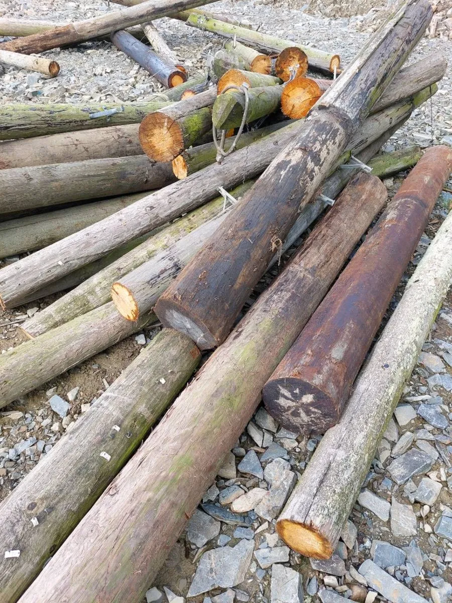 Gate posts and strainers - Image 1