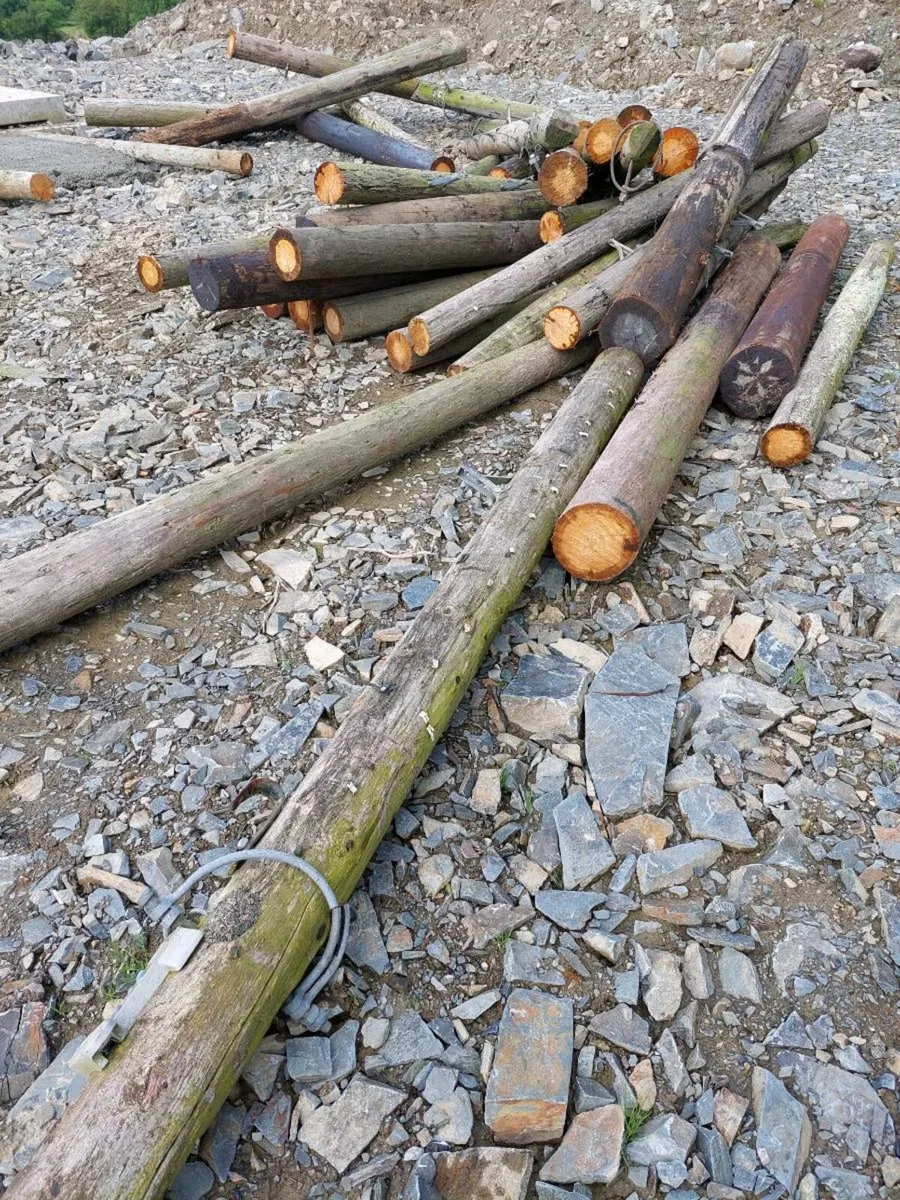 Gate posts and strainers - Image 2