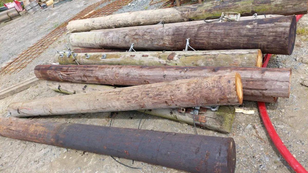 Gate posts and strainers - Image 3