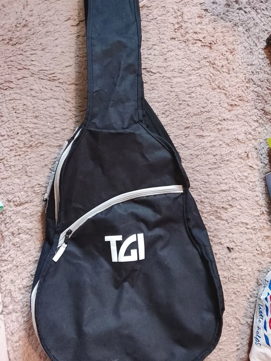 guitar case - Image 1