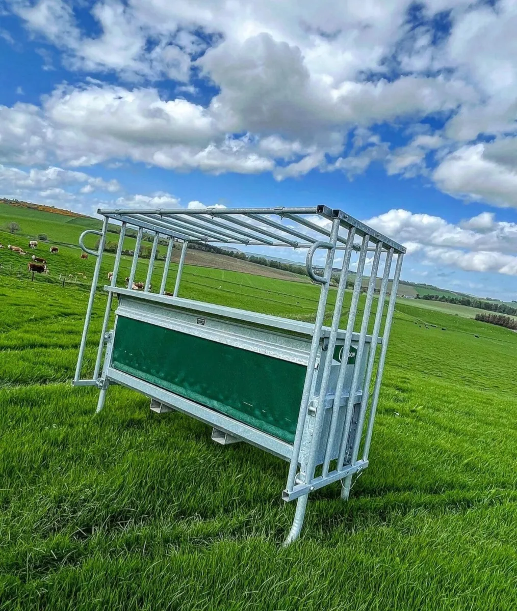 Condon Calf Creep Feeder - Image 4