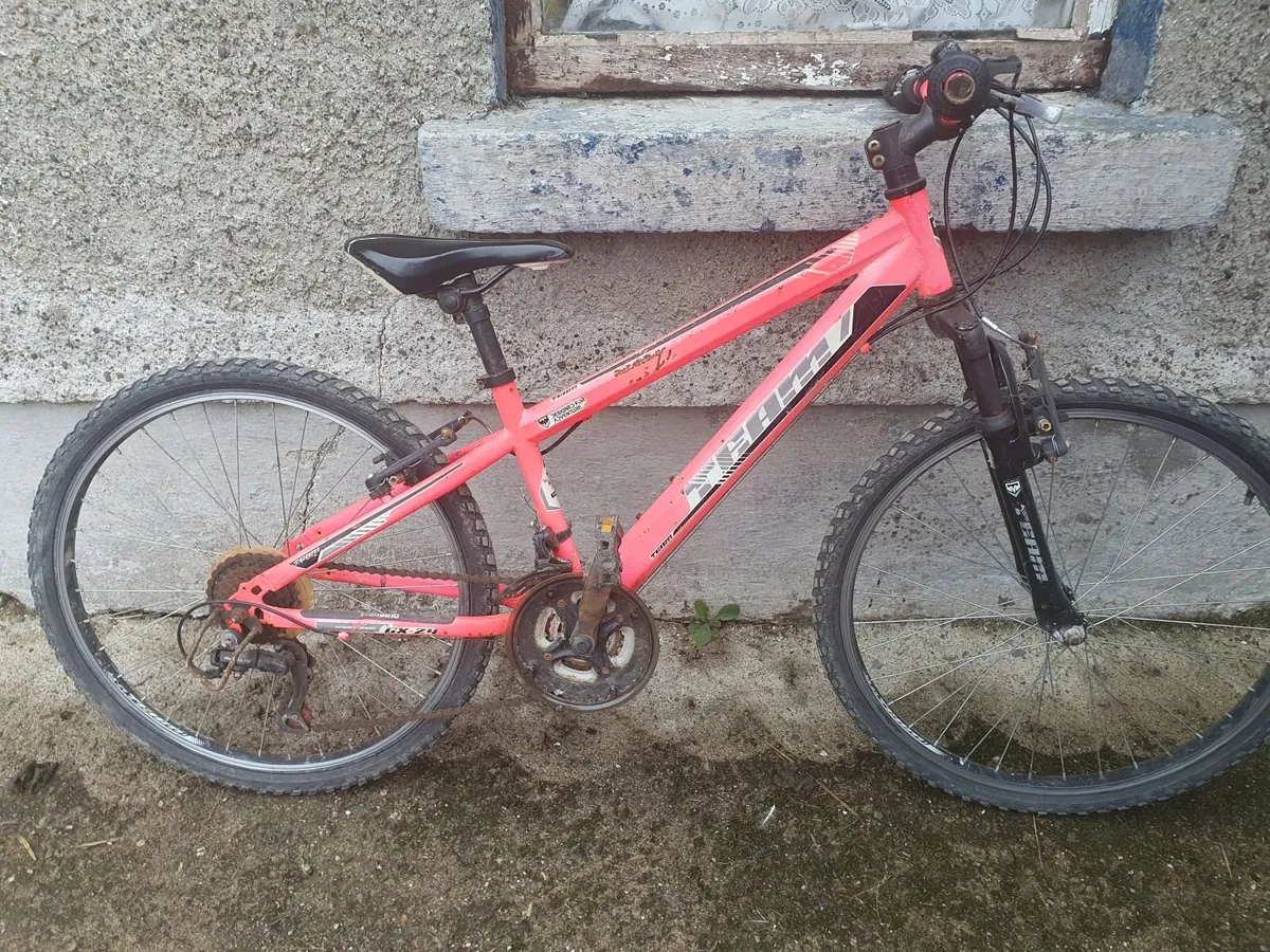 Bicycle x 2 - Image 1