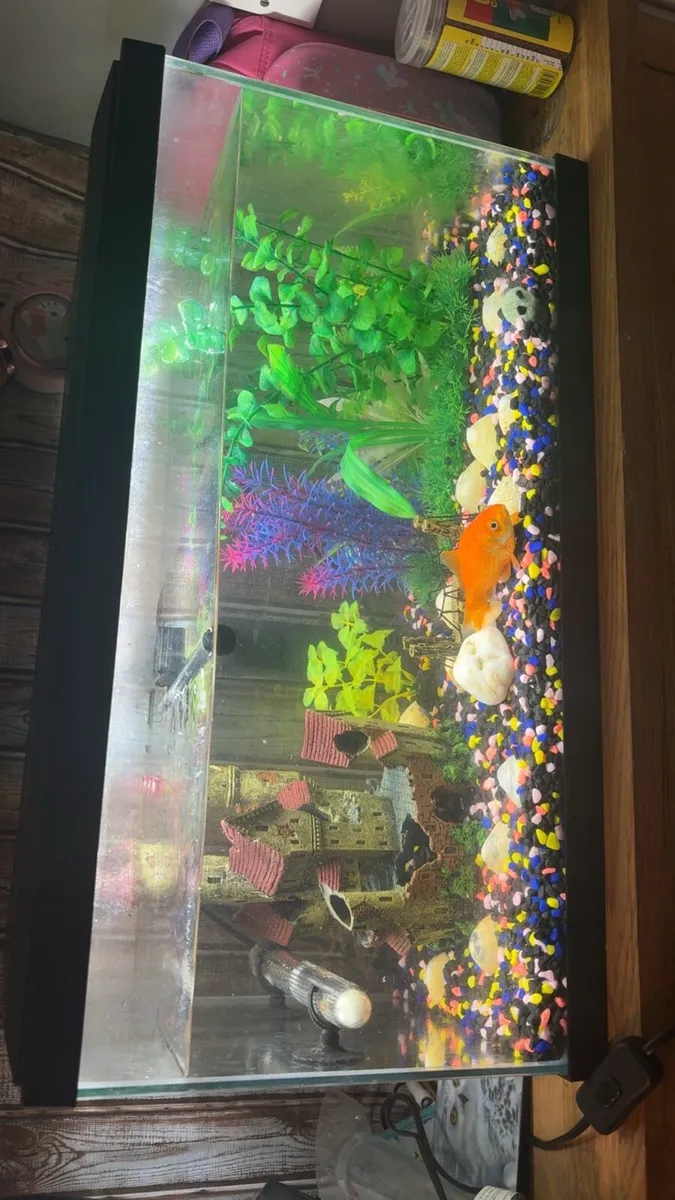 Fish tank