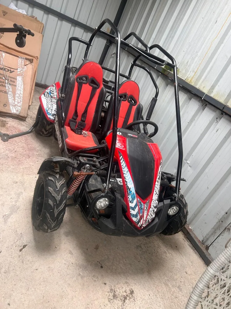 Buggy - Image 1