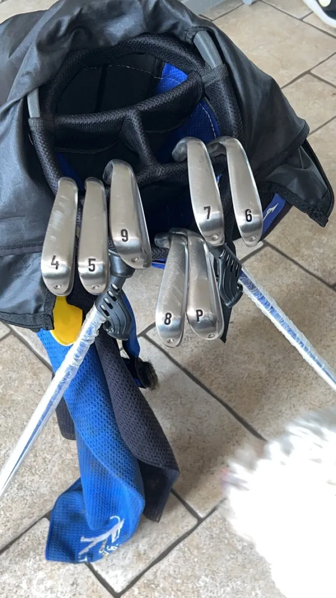 Takomo 201 MKll Irons - Image 3