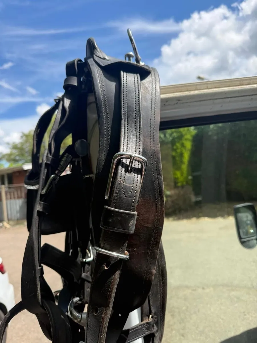 Driving harness for sale - Image 3