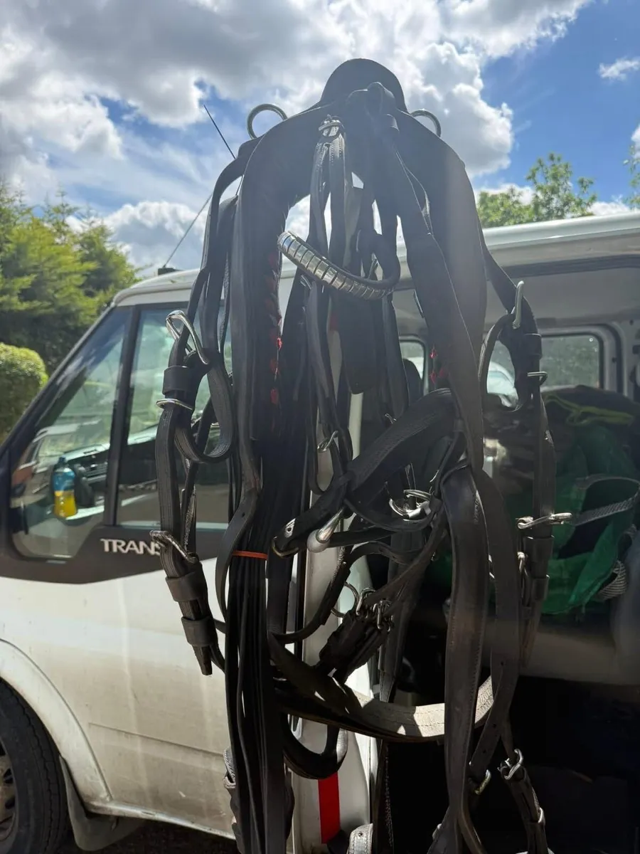 Driving harness for sale - Image 1