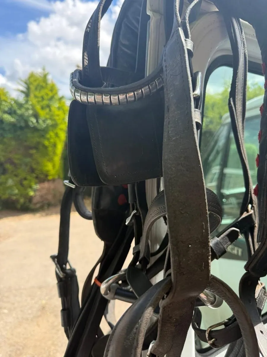 Driving harness for sale - Image 2