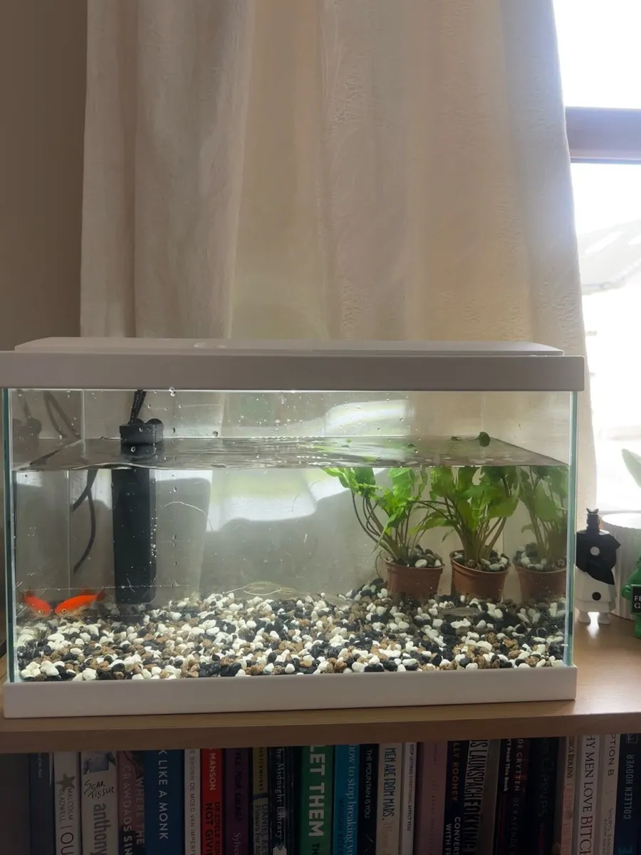 Fish tank with fish - Image 2
