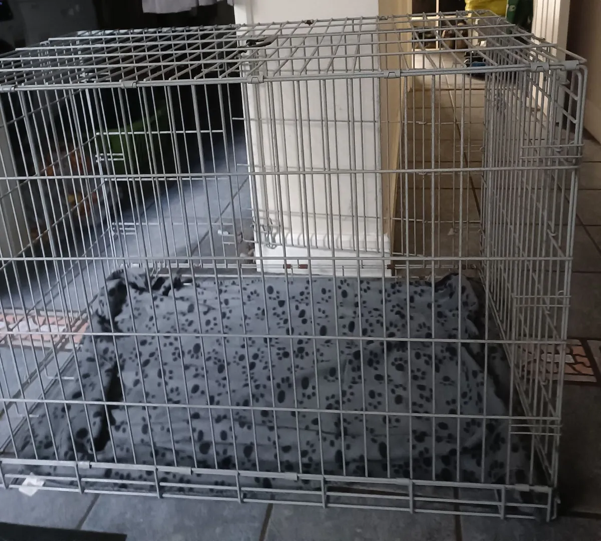 XL Dog Crate - Image 1