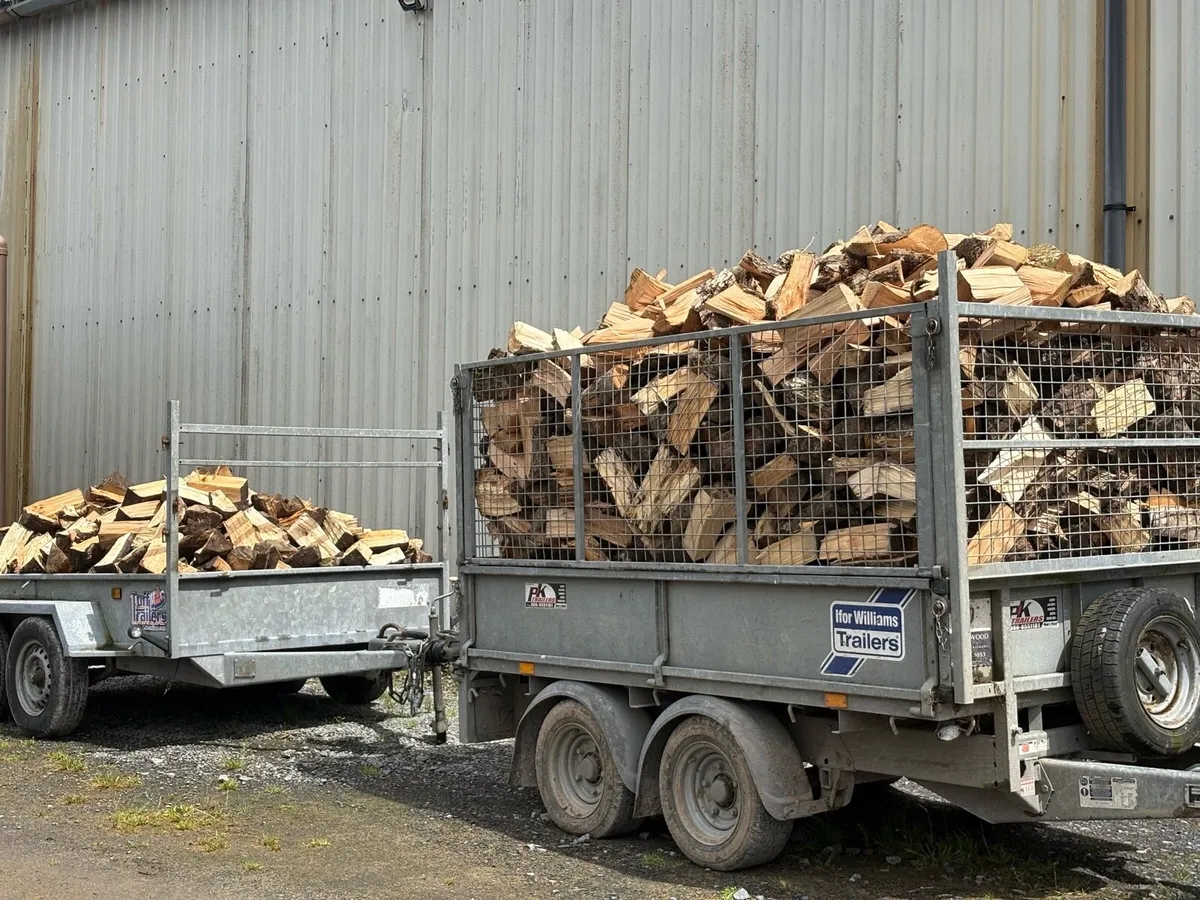 Fire wood - Image 1