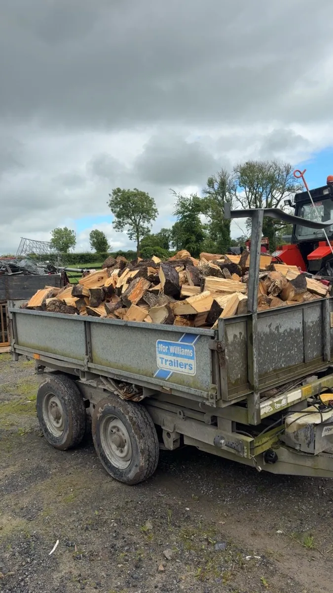 Fire wood - Image 3