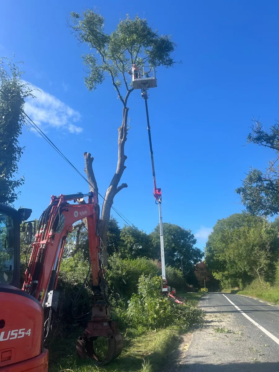 Tree surgeon - Image 3