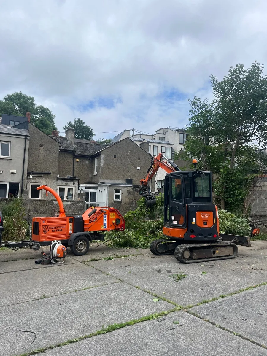 Tree surgeon - Image 1