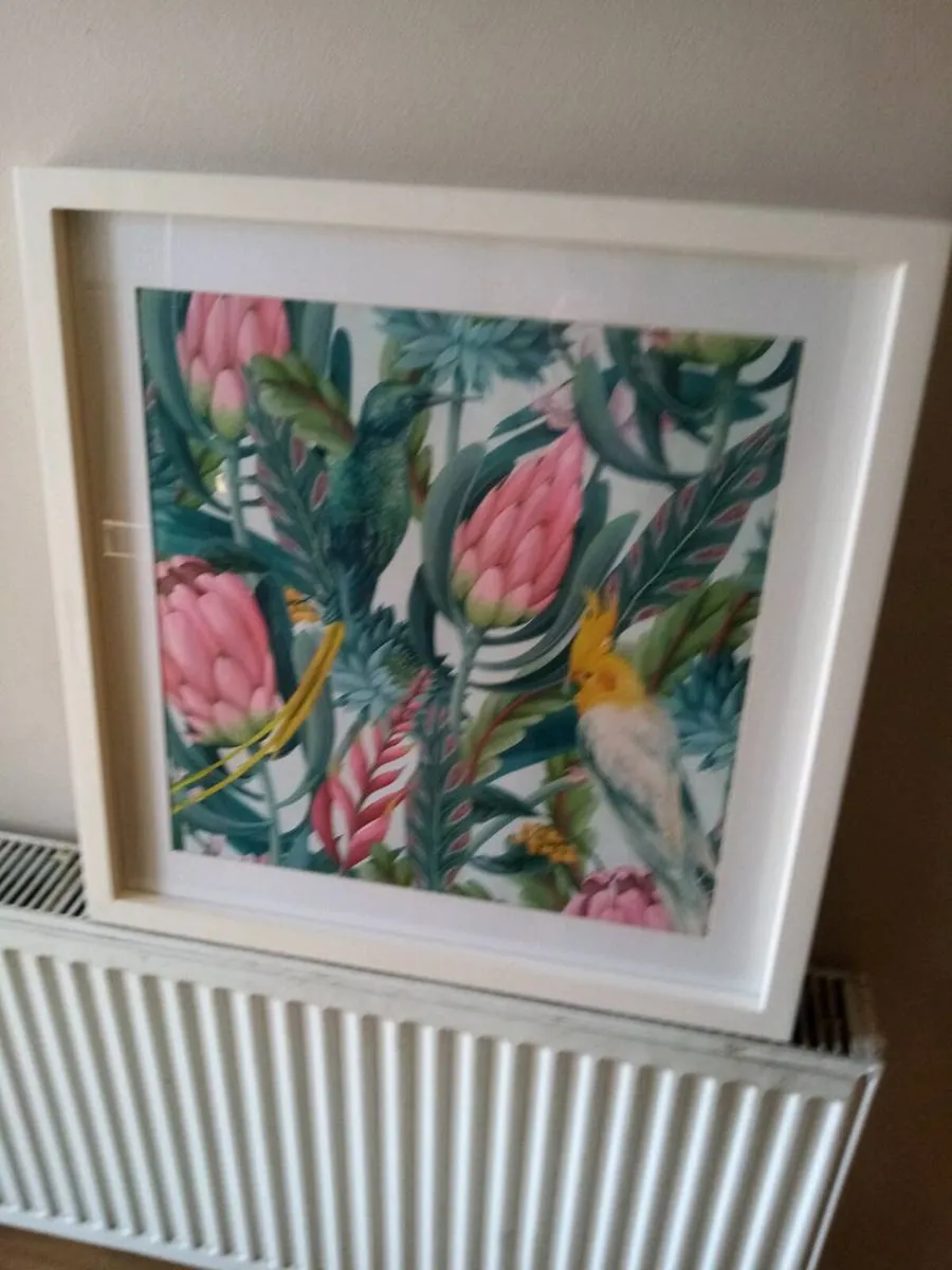 Picture - Image 1