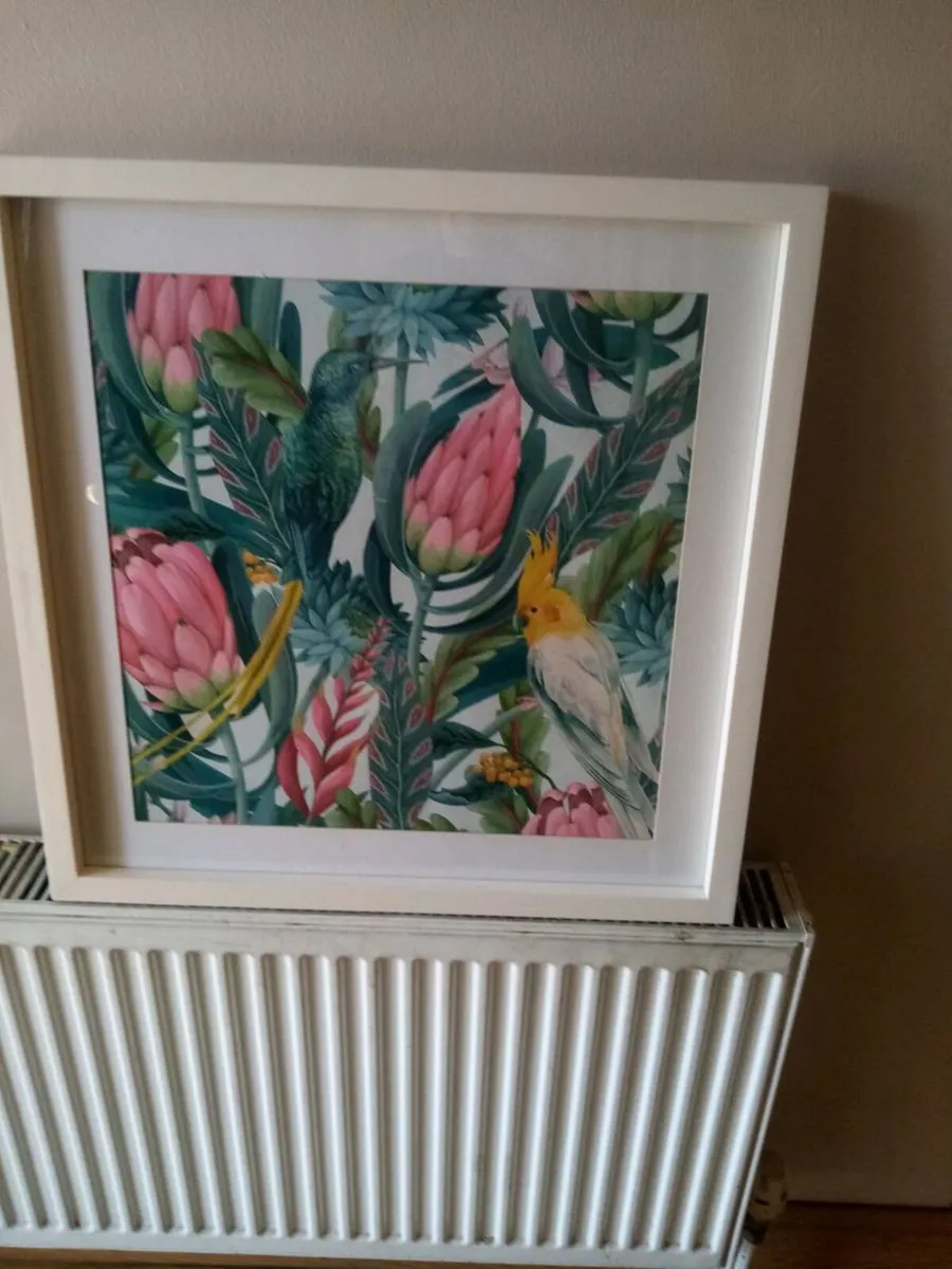 Picture - Image 4