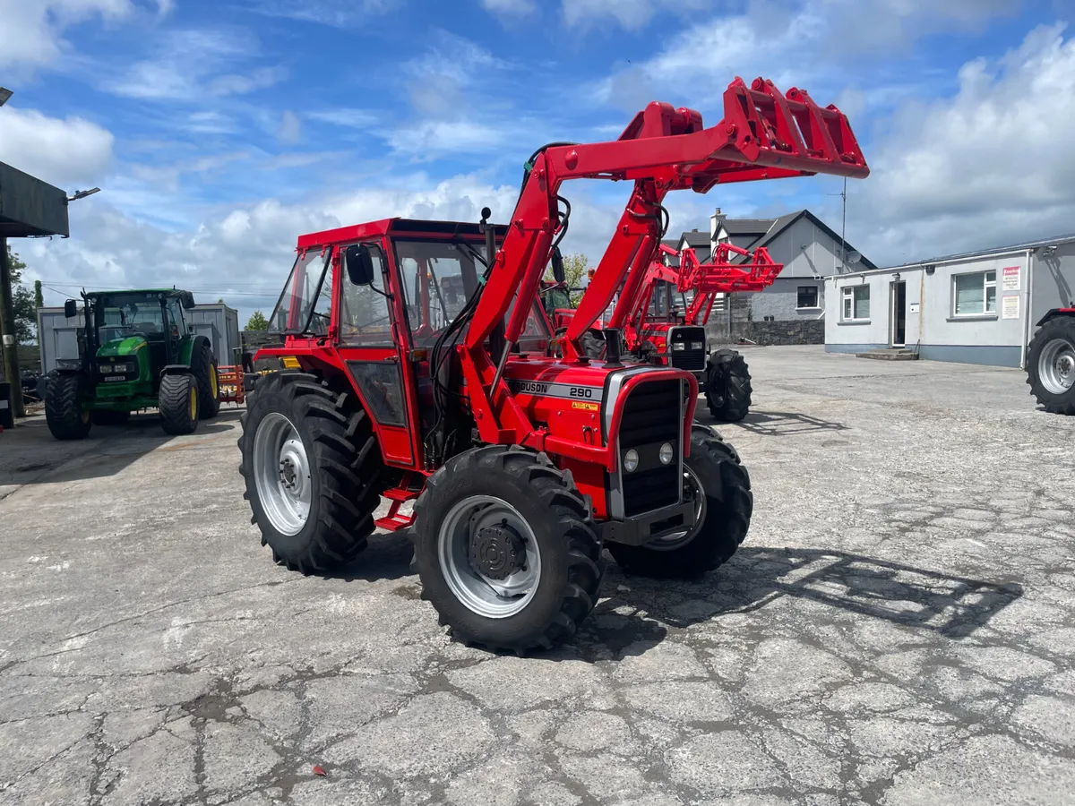 Massey Ferguson 290 - Image 3