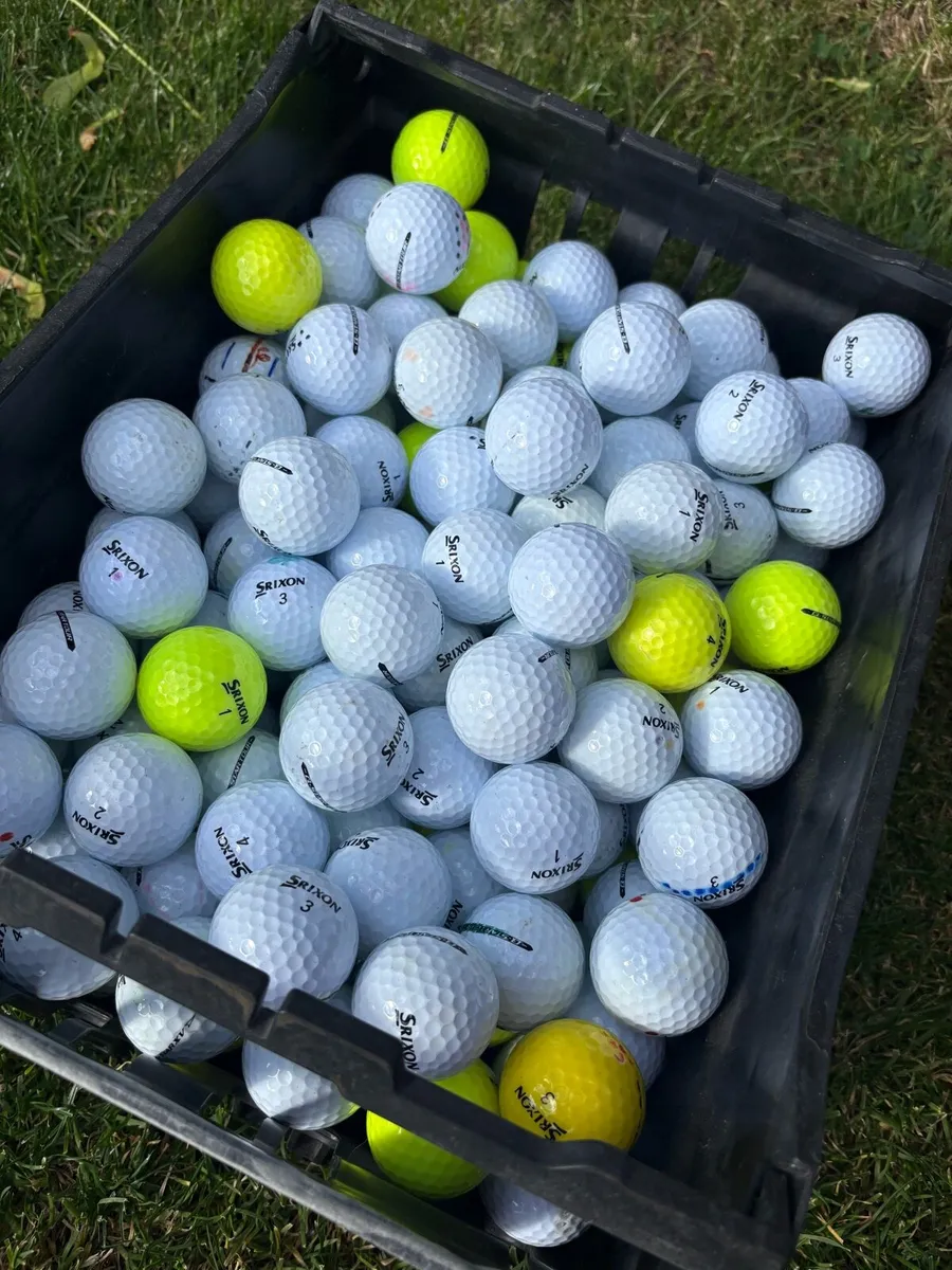 20 Srixon (Qstar) Golf Balls - Image 1