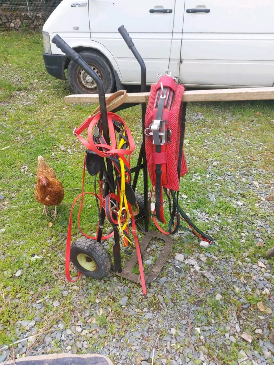 Two sets of Harness - Image 1