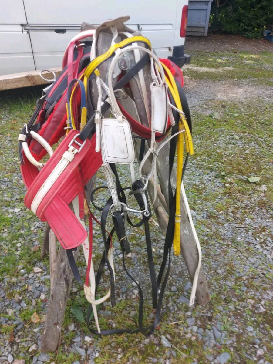 Two sets of Harness - Image 4