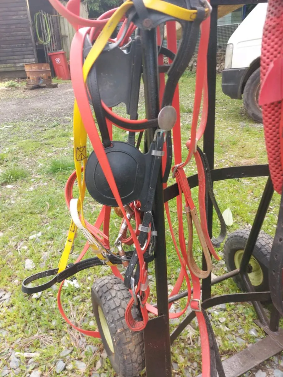 Two sets of Harness - Image 2
