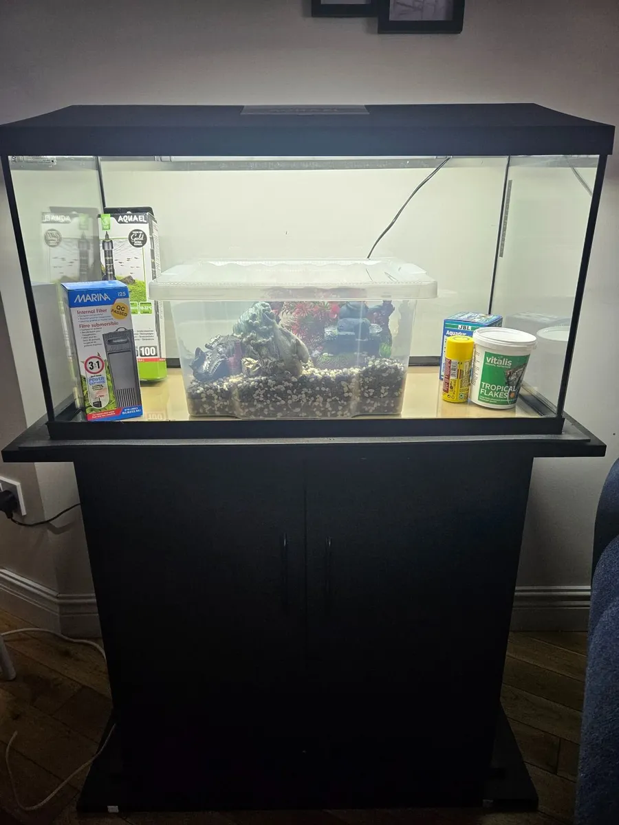Aquarium - Image 1