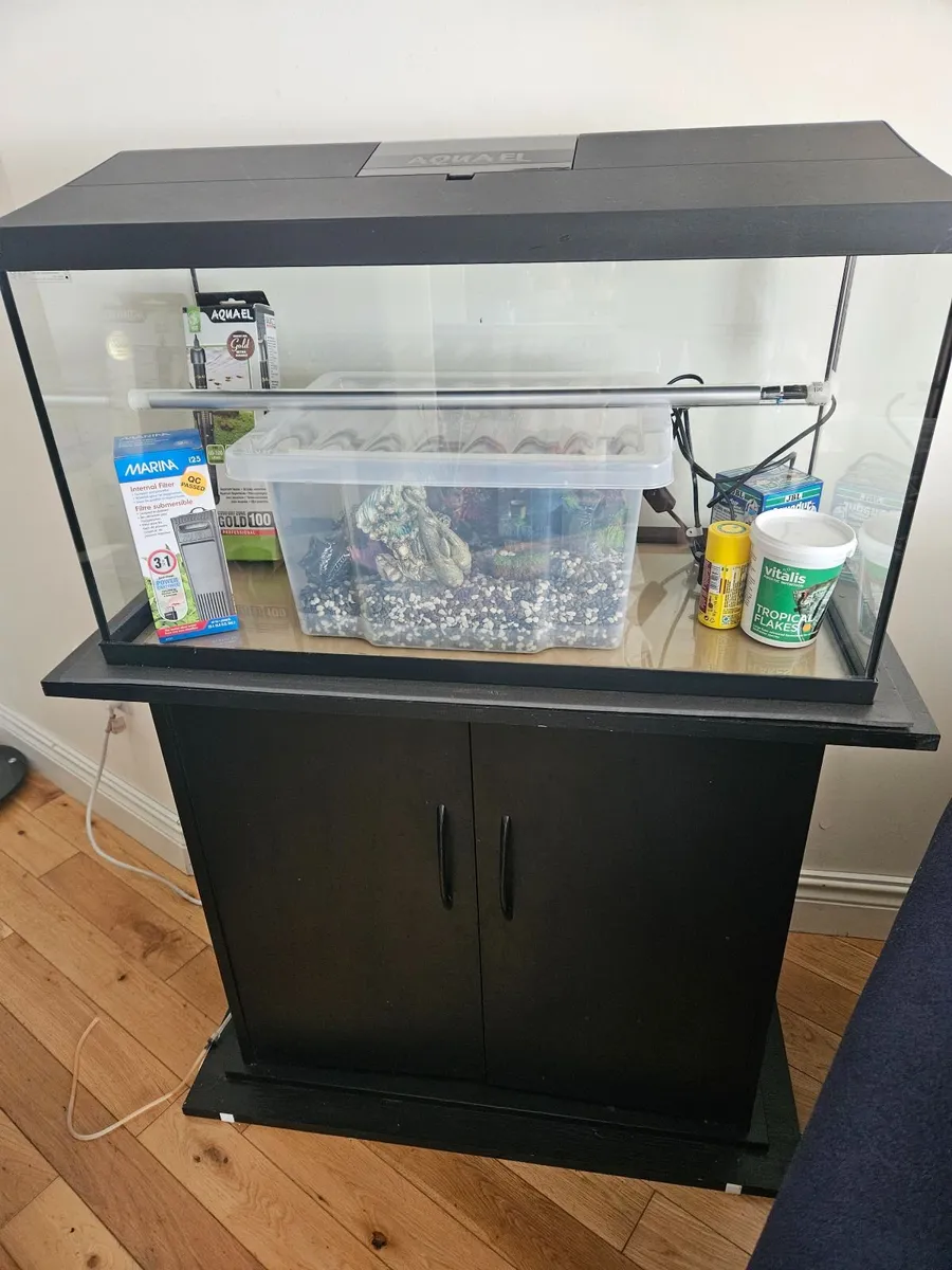 Aquarium - Image 3