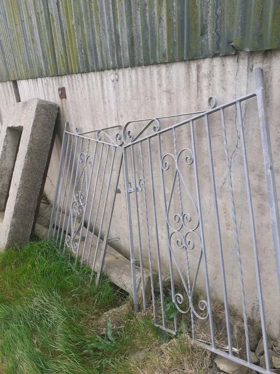 Garden gates - Image 1