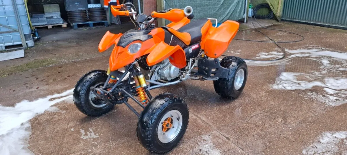 MadCat 300 quad - Image 1