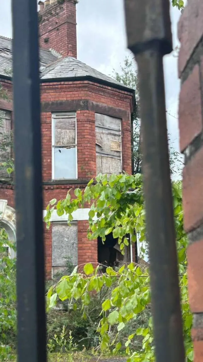 Reclaimed bricks - Image 3