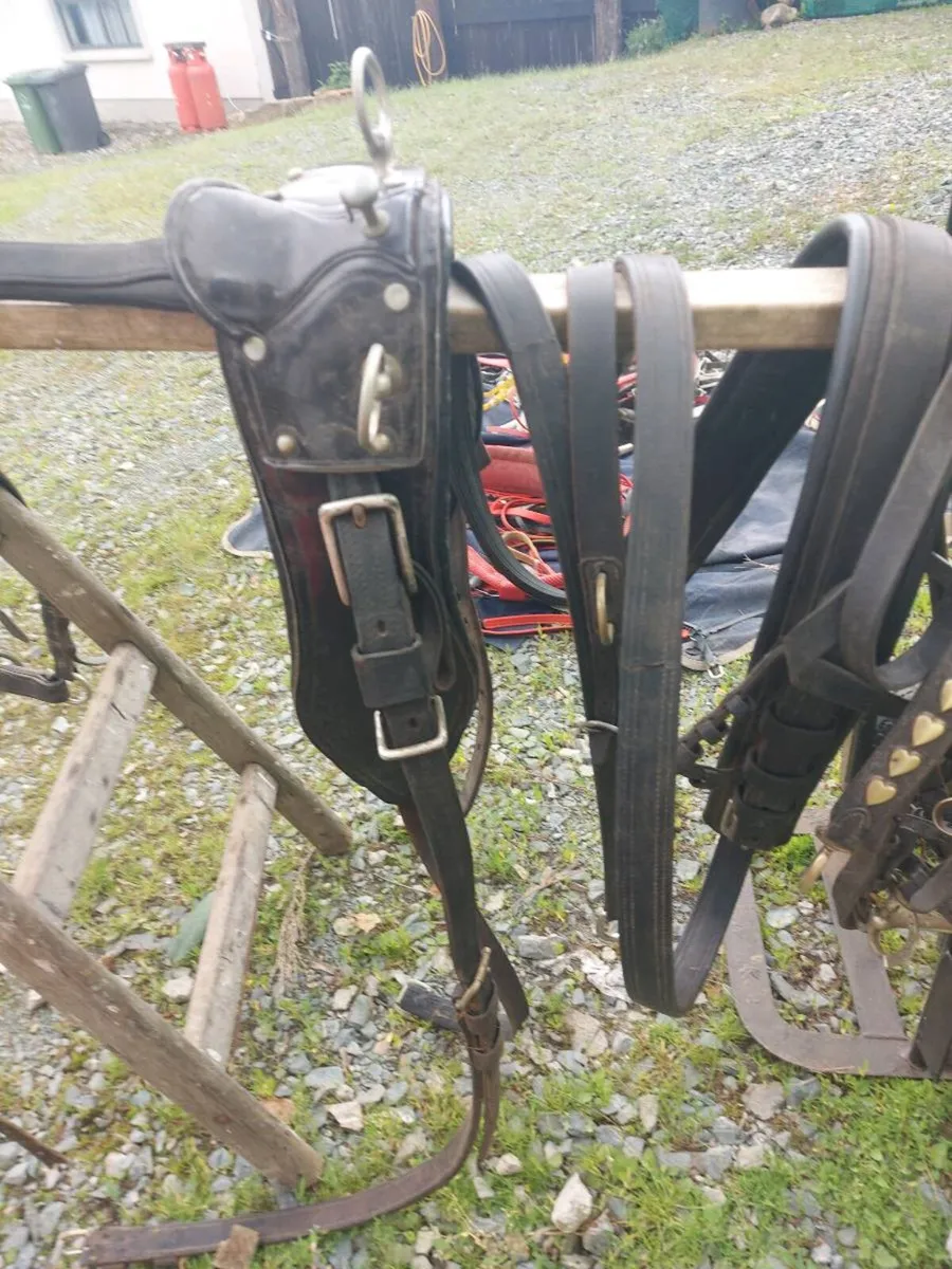 Common Harness - Image 1