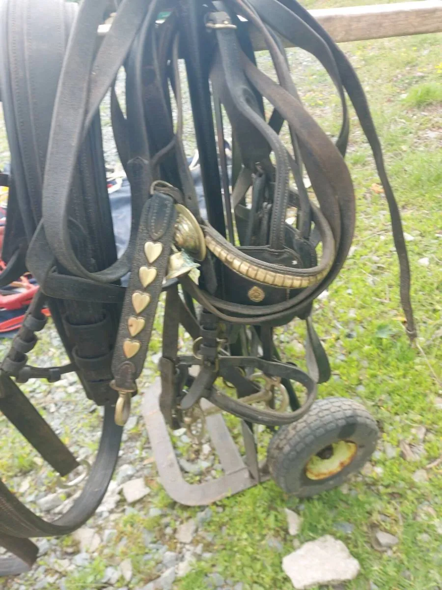 Common Harness - Image 2