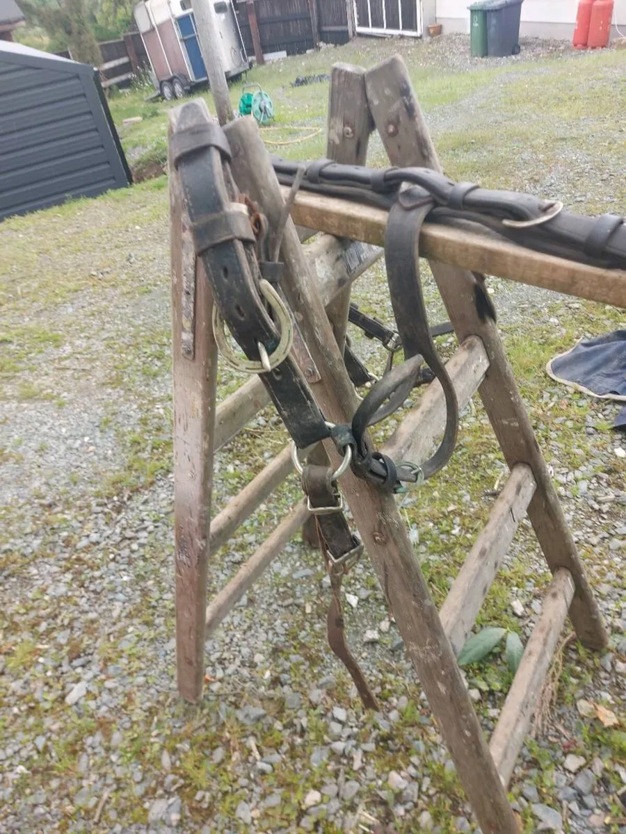 Common Harness - Image 3