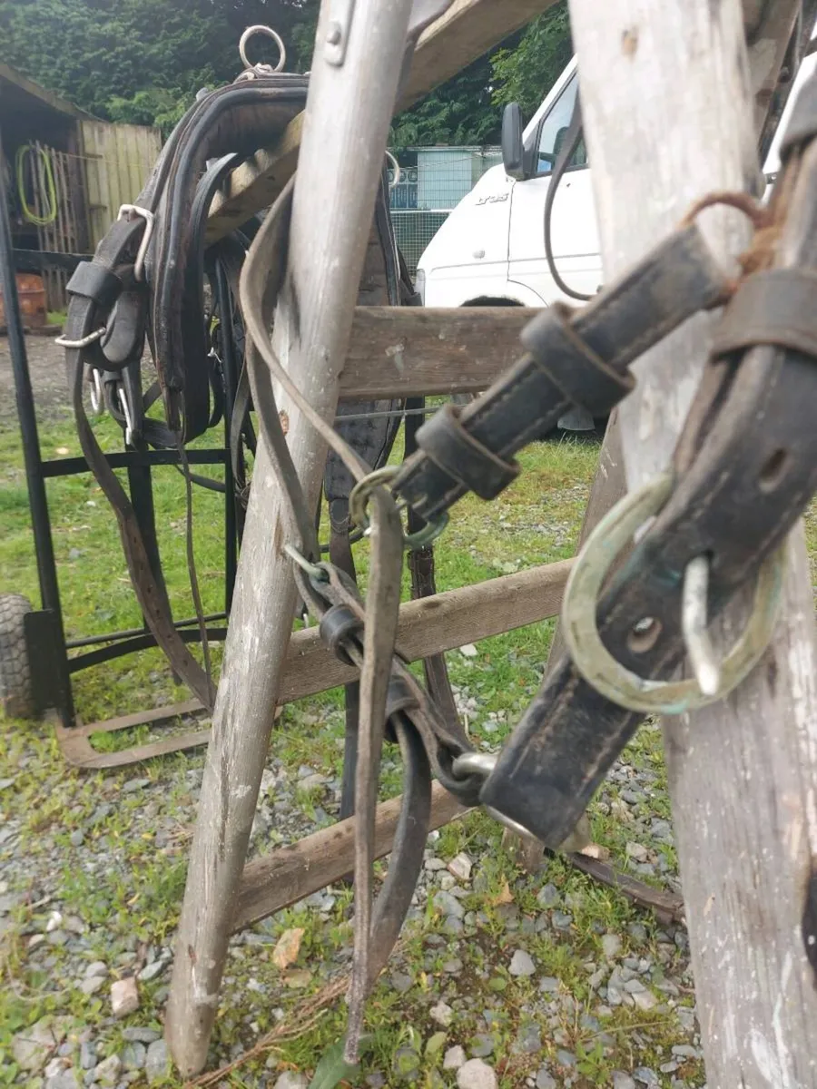 Common Harness - Image 4