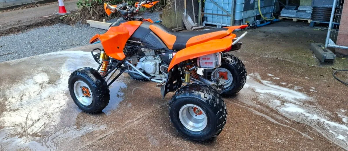 MadCat 300 quad - Image 3