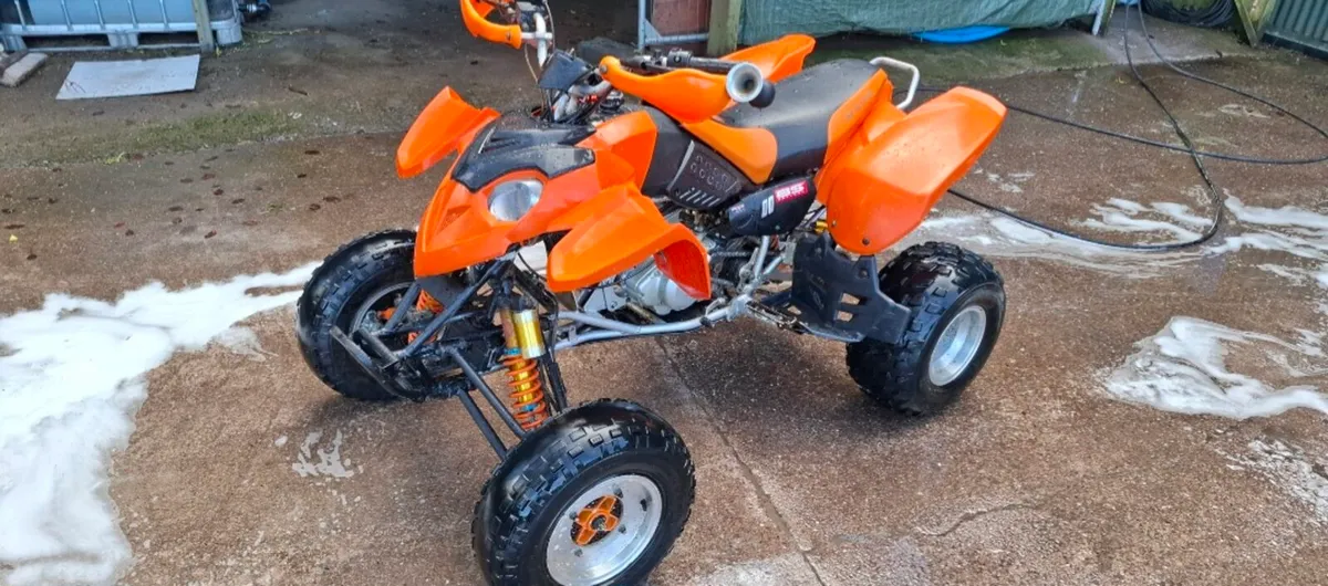 Mad Cat 300cc quad - Image 1