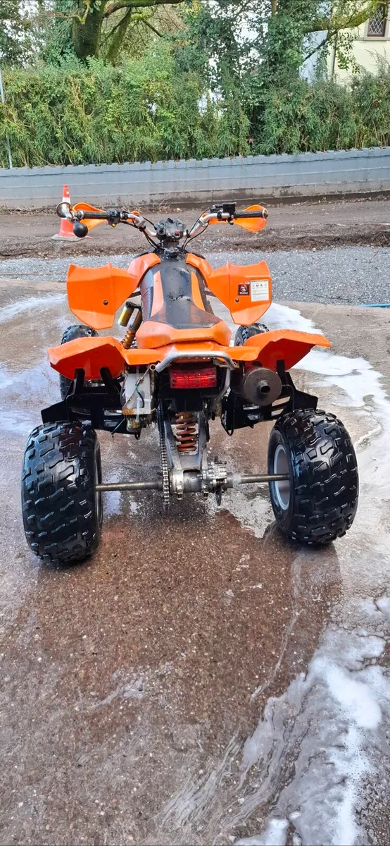Mad Cat 300cc quad - Image 2