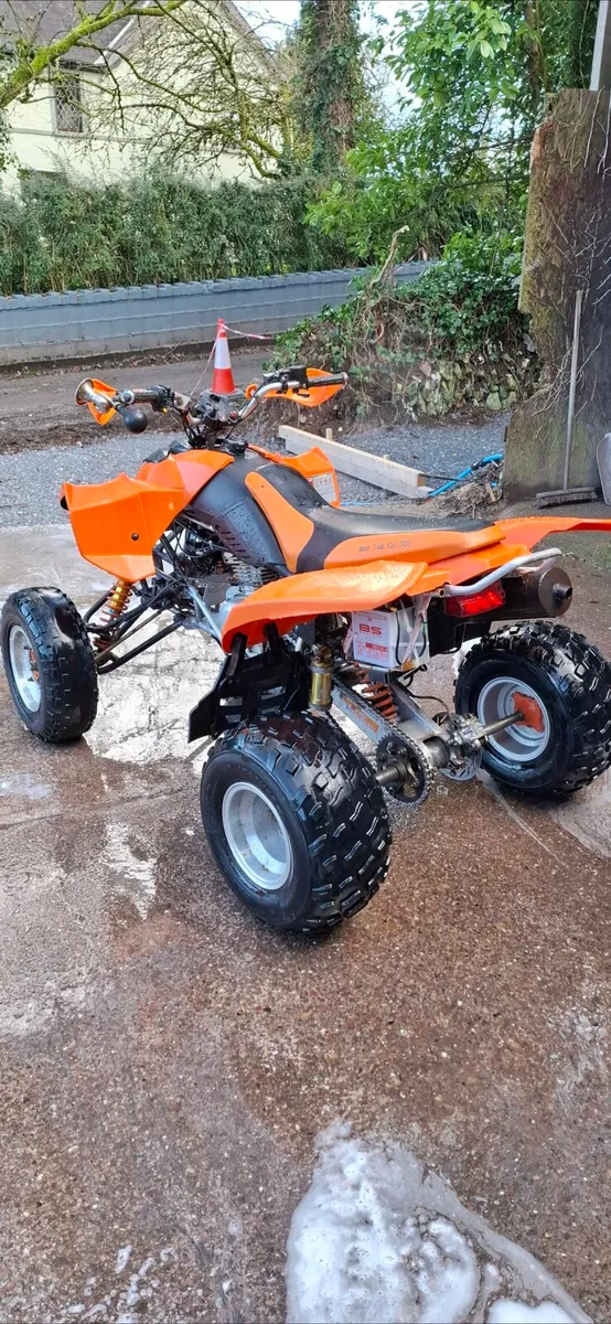 Mad Cat 300cc quad - Image 3
