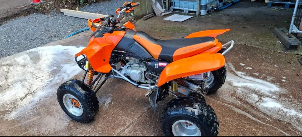 Mad Cat 300cc quad - Image 4