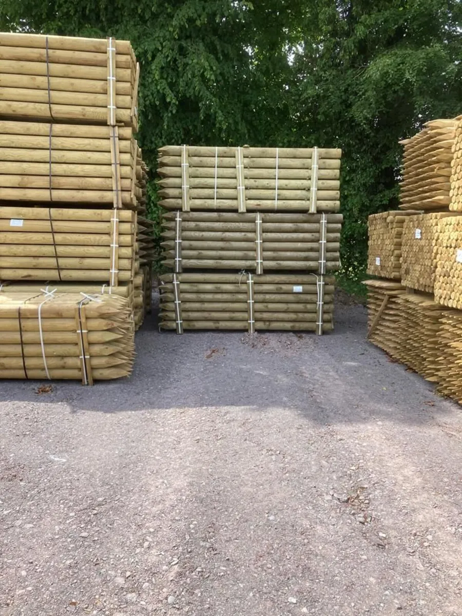 Fencing - Image 2